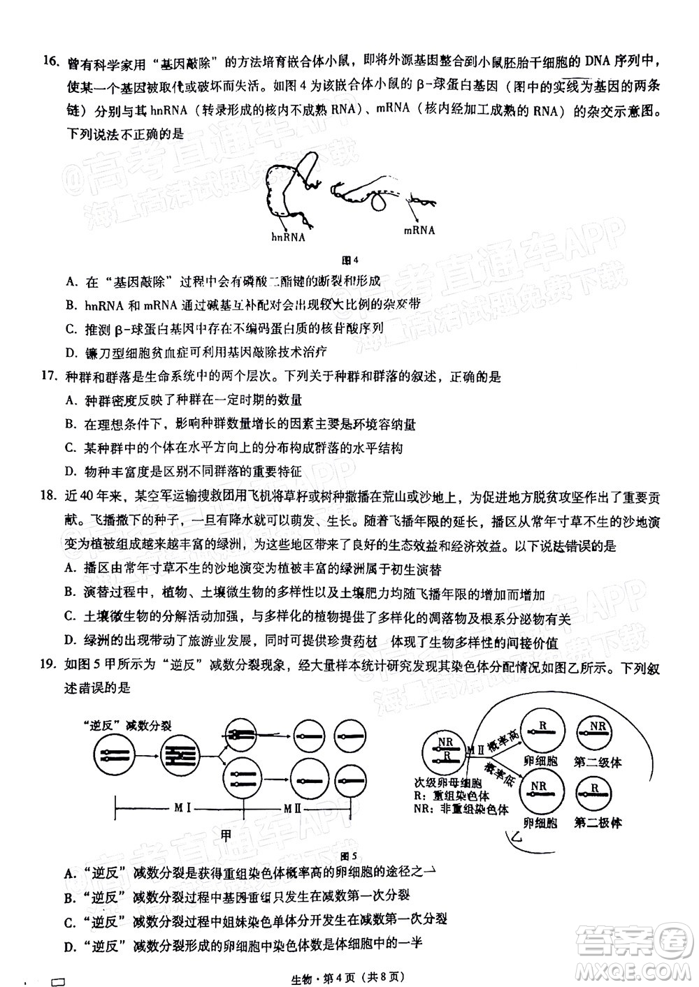 巴蜀中學2022屆高考適應(yīng)性月考卷九生物試題及答案