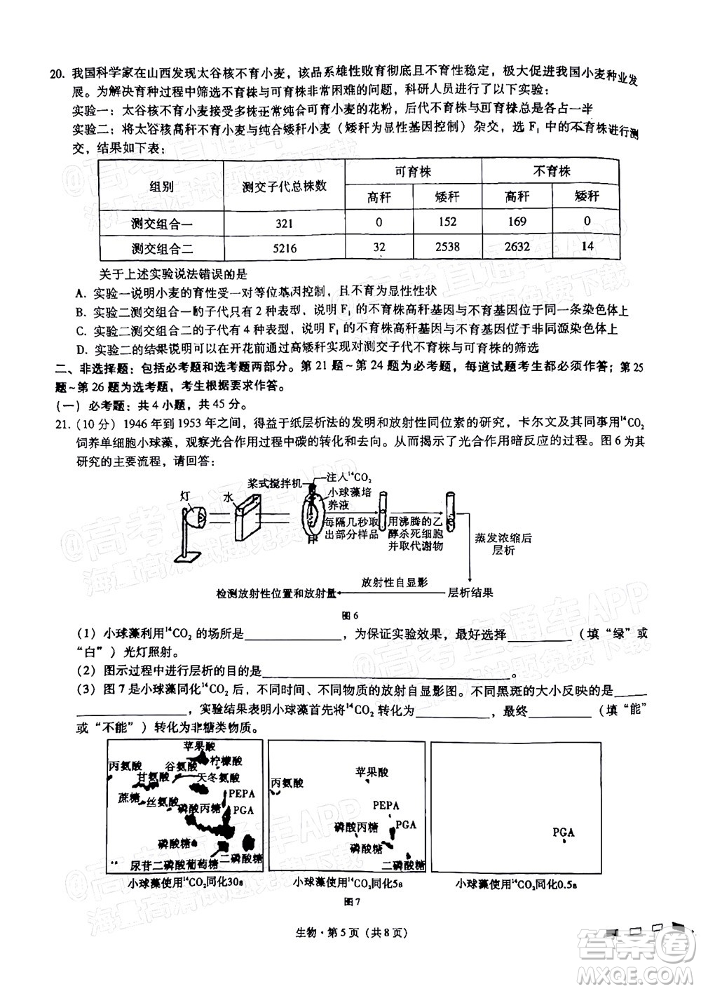 巴蜀中學2022屆高考適應(yīng)性月考卷九生物試題及答案