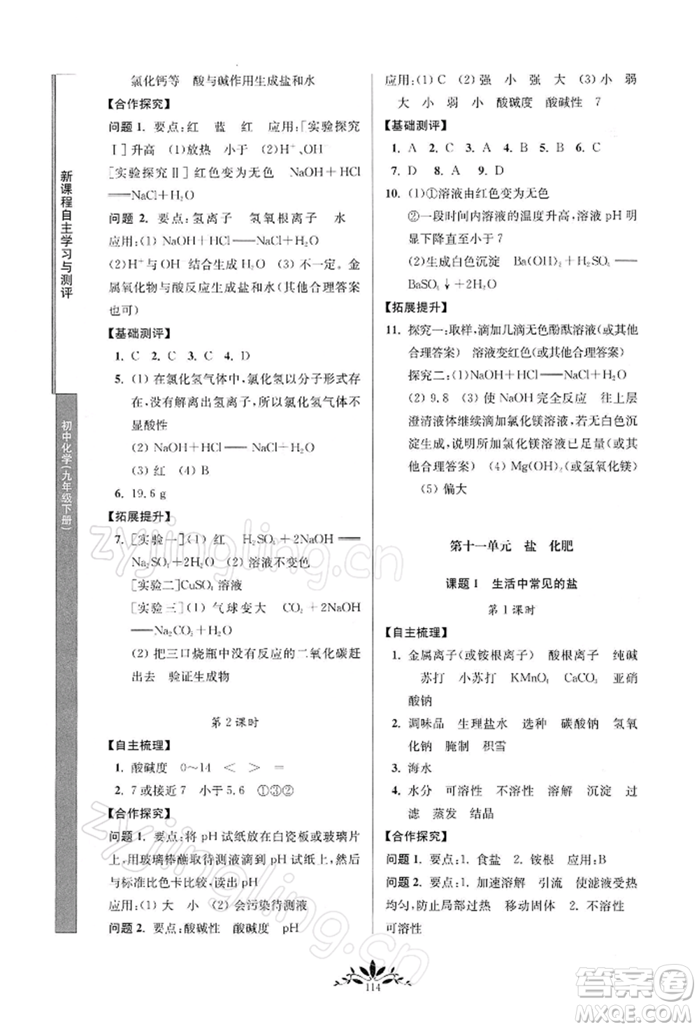 南京師范大學出版社2022新課程自主學習與測評九年級下冊化學人教版參考答案