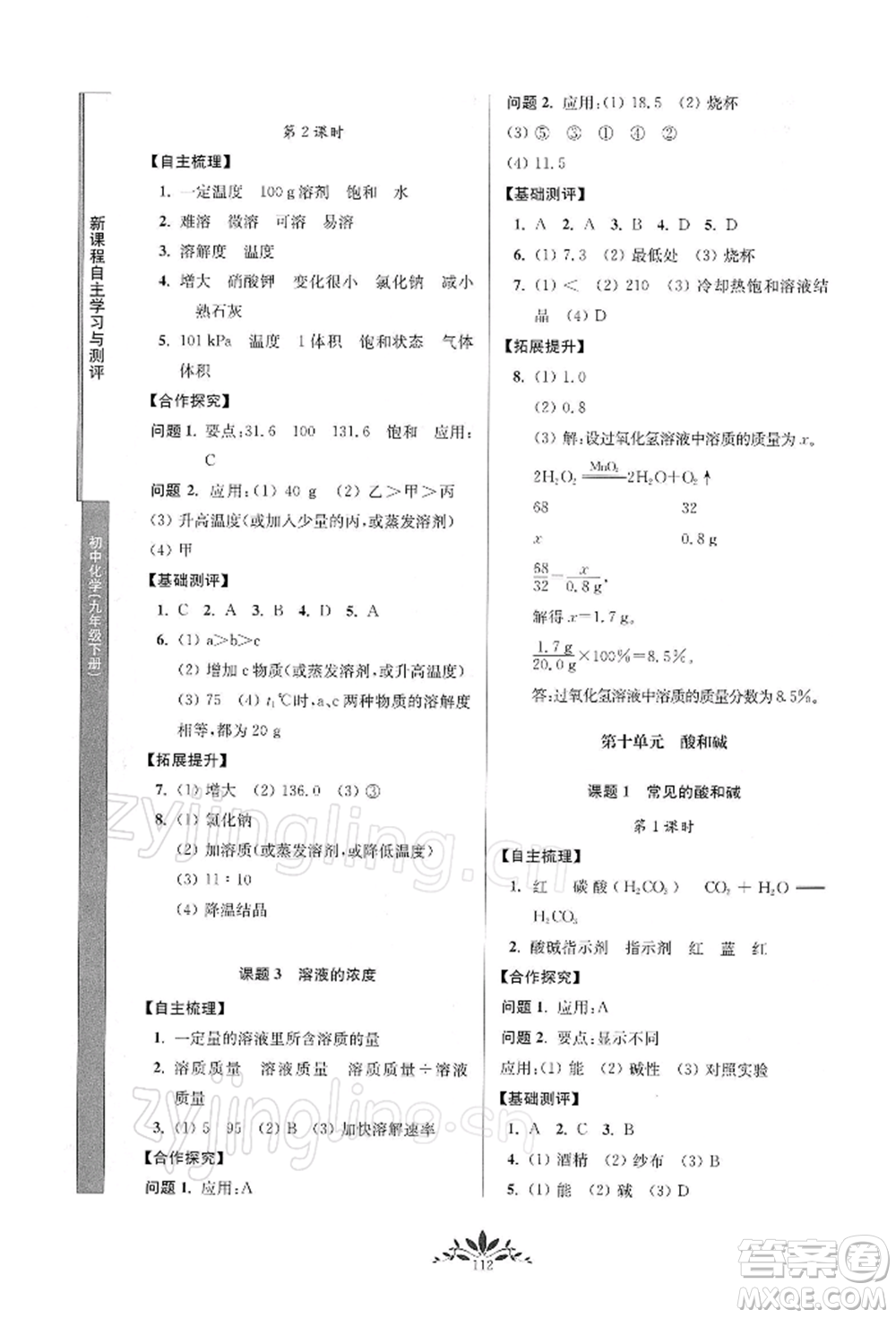 南京師范大學出版社2022新課程自主學習與測評九年級下冊化學人教版參考答案