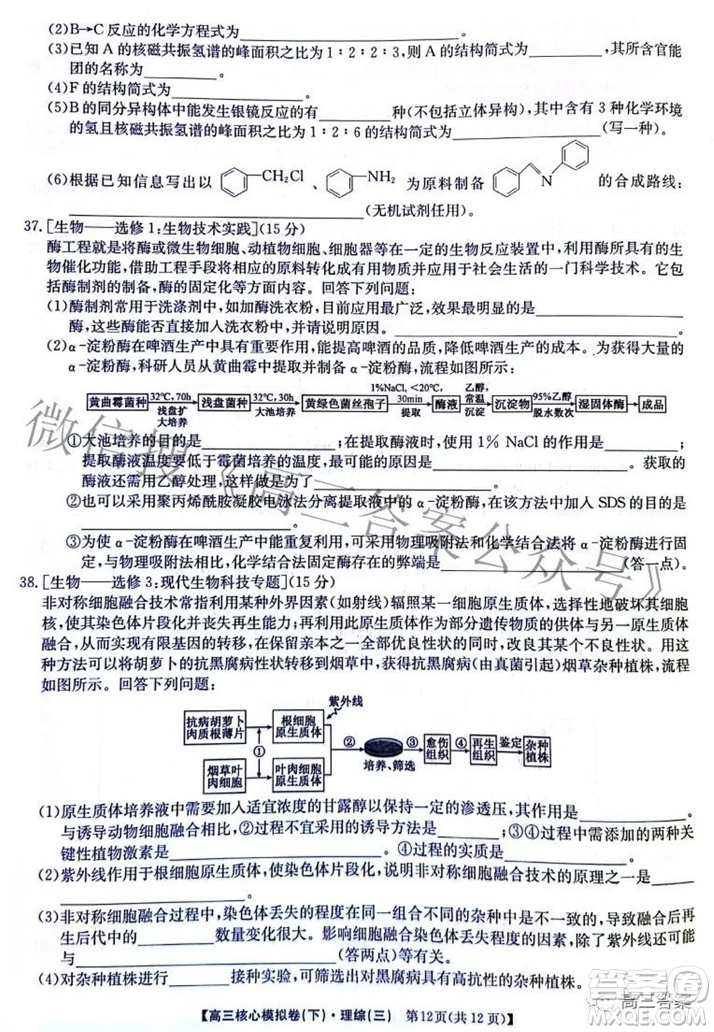 九師聯(lián)盟2021-2022學(xué)年高三核心模擬卷下三理科綜合試題及答案