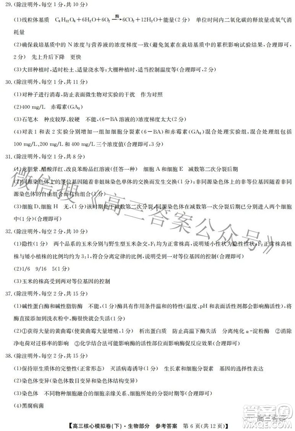 九師聯(lián)盟2021-2022學(xué)年高三核心模擬卷下三理科綜合試題及答案