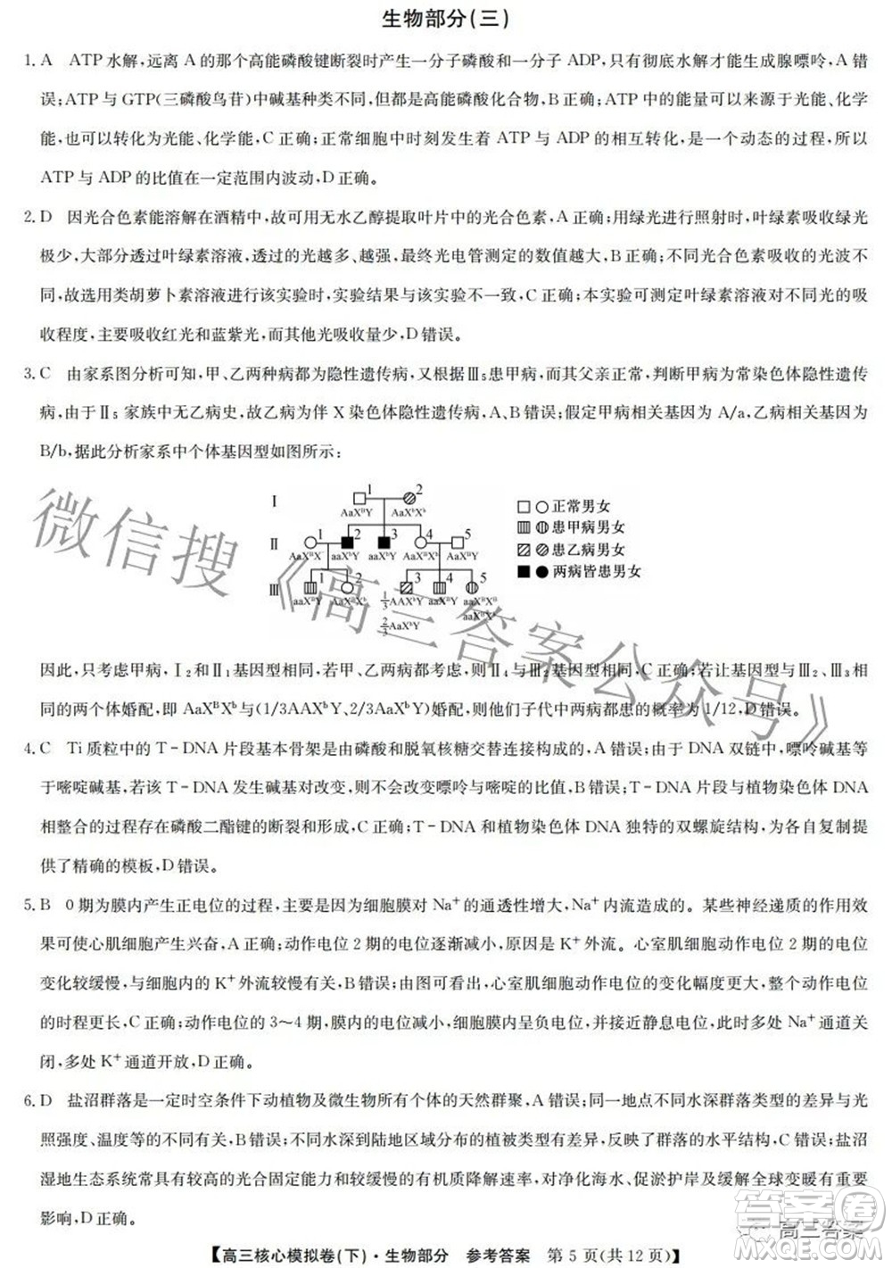 九師聯(lián)盟2021-2022學(xué)年高三核心模擬卷下三理科綜合試題及答案