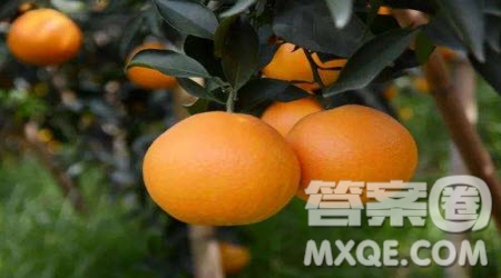 有一個充滿幻想的青年材料作文600字 關(guān)于有一個充滿幻想的青年的材料作文600字