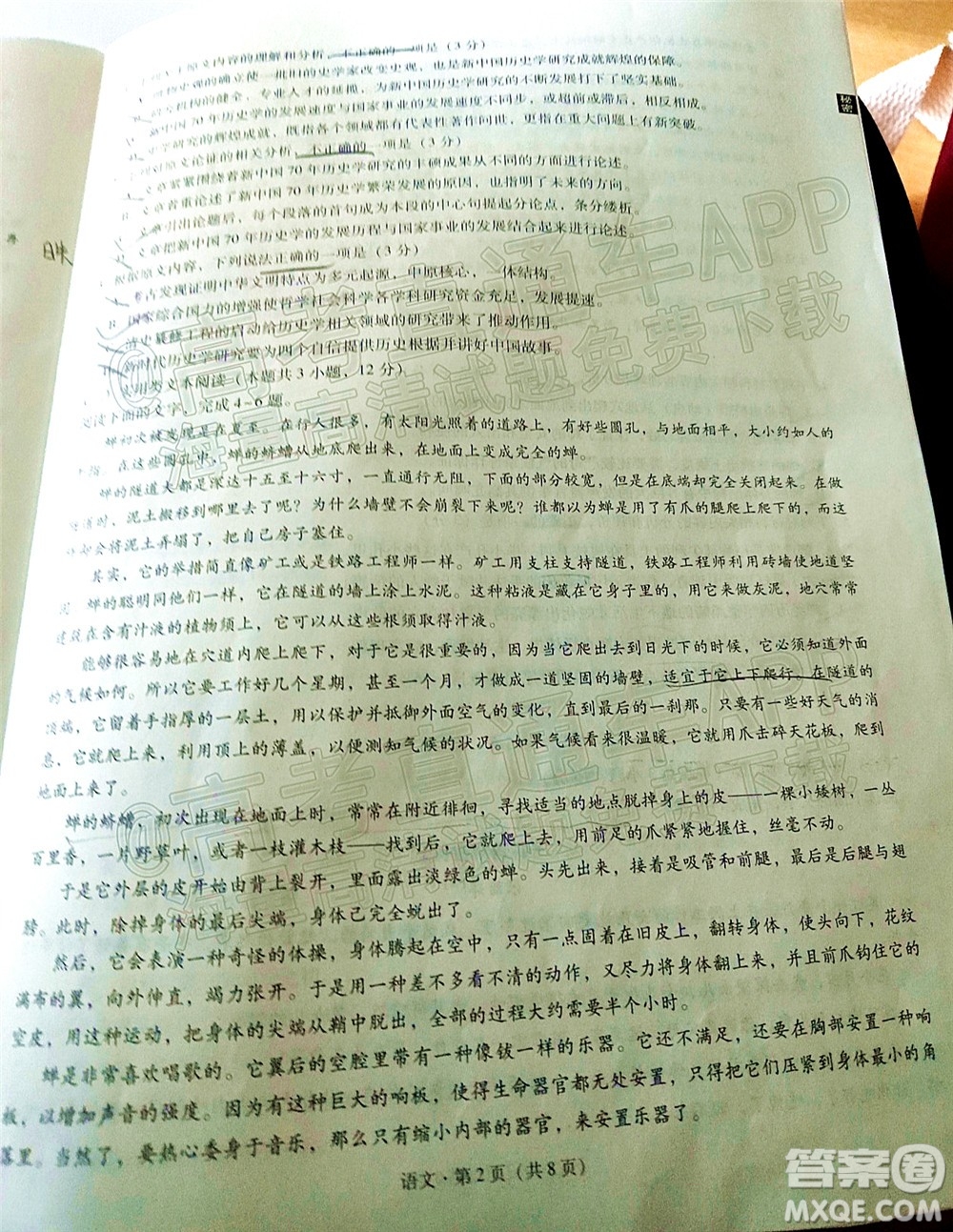 2022屆3+3+3高考備考診斷性聯(lián)考卷三語文試題及答案