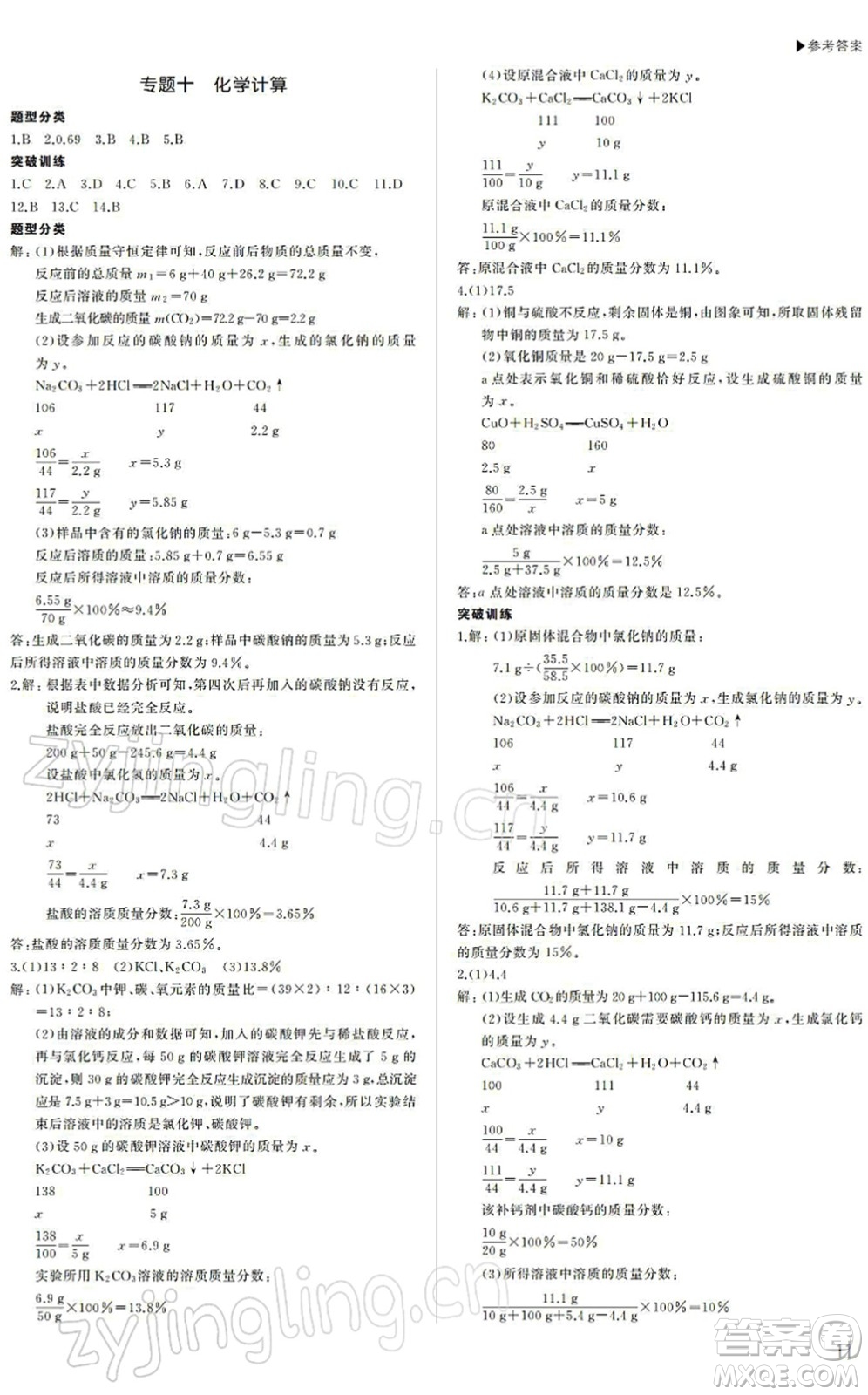 內(nèi)蒙古大學(xué)出版社2022超越中考九年級(jí)化學(xué)下冊(cè)人教版答案