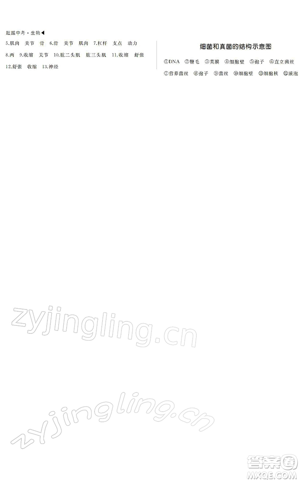 內(nèi)蒙古大學(xué)出版社2022超越中考九年級(jí)生物下冊(cè)人教版綿陽專版答案