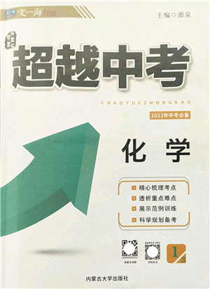 內(nèi)蒙古大學(xué)出版社2022超越中考九年級(jí)化學(xué)下冊(cè)人教版答案