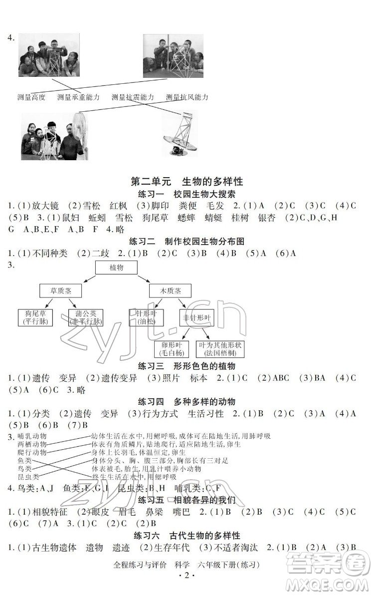 浙江人民出版社2022全程練習與評價六年級下冊科學教科版答案
