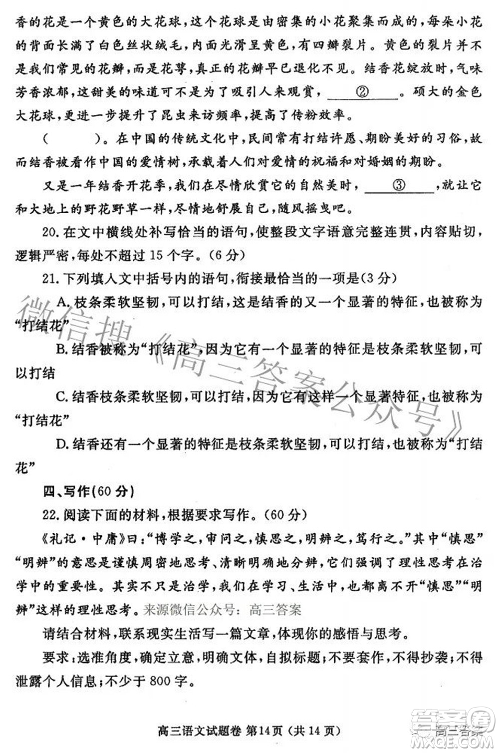 鄭州市2022年高中畢業(yè)年級(jí)第三次質(zhì)量預(yù)測(cè)語(yǔ)文試題及答案