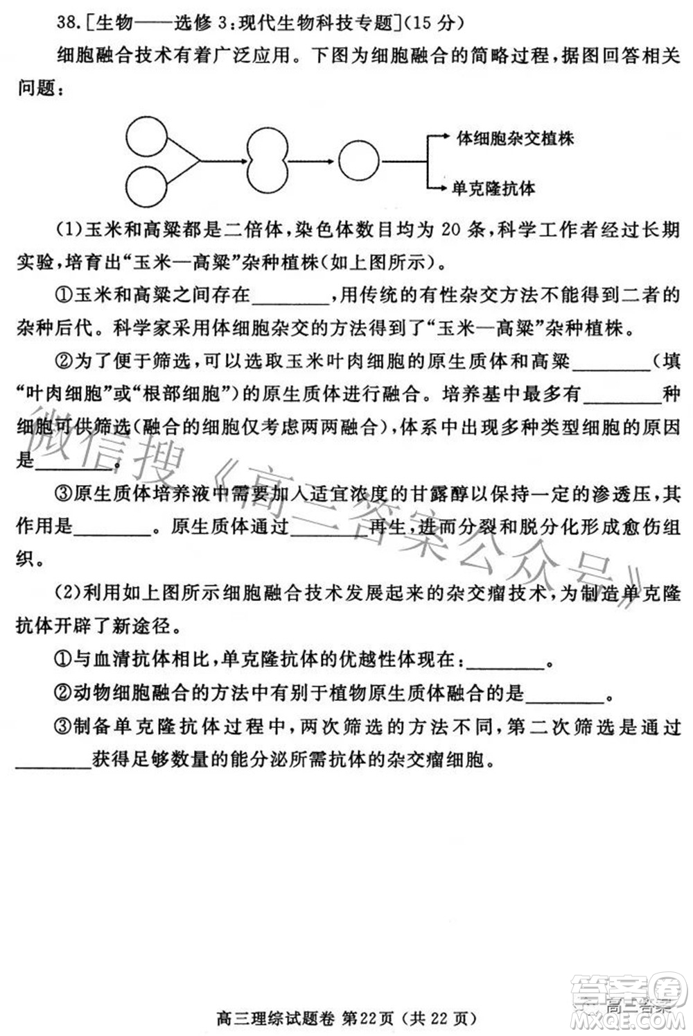 鄭州市2022年高中畢業(yè)年級第三次質(zhì)量預(yù)測理科綜合試題及答案