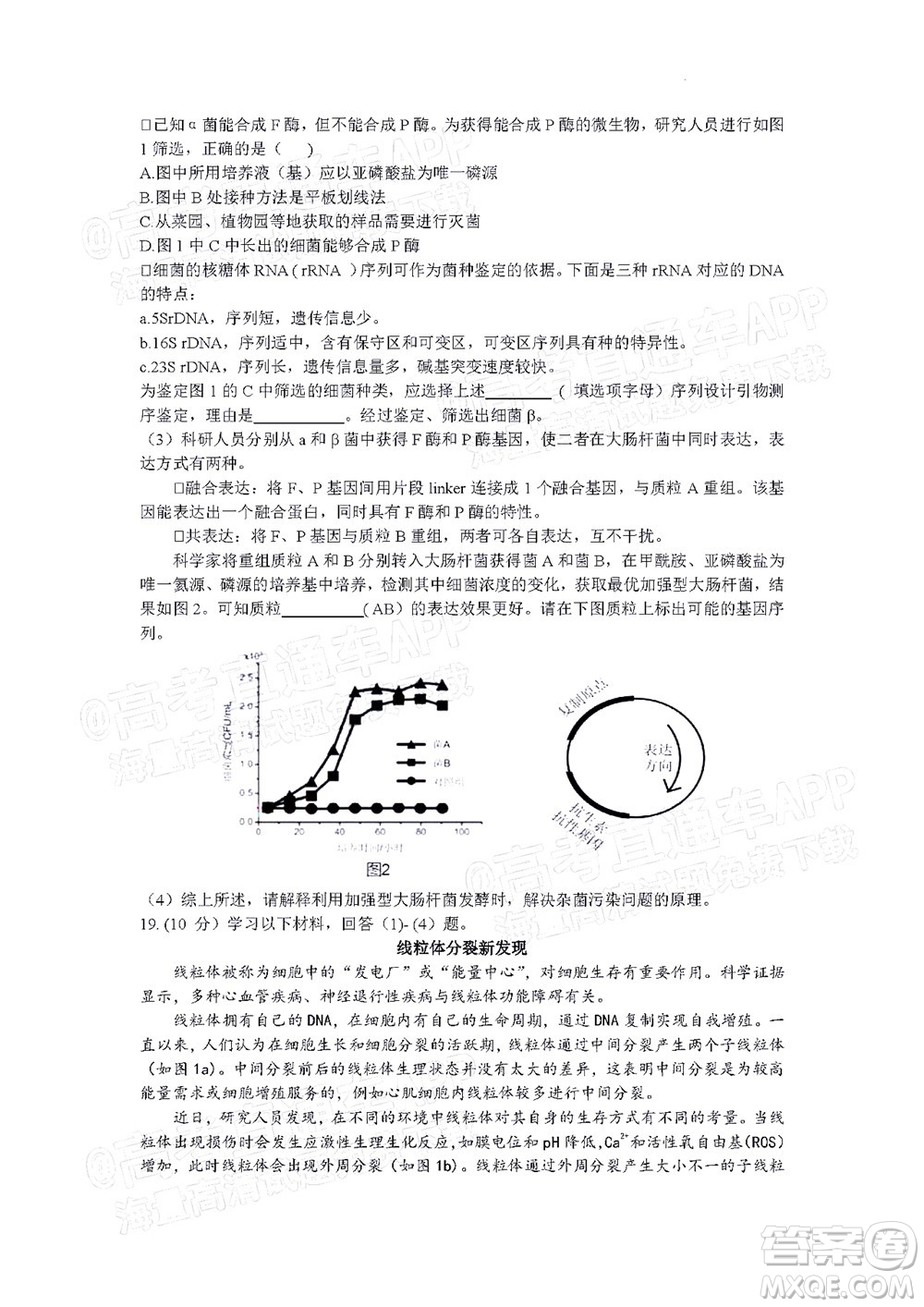 北京房山區(qū)2022年高考二模考試試卷高三生物學試題及答案
