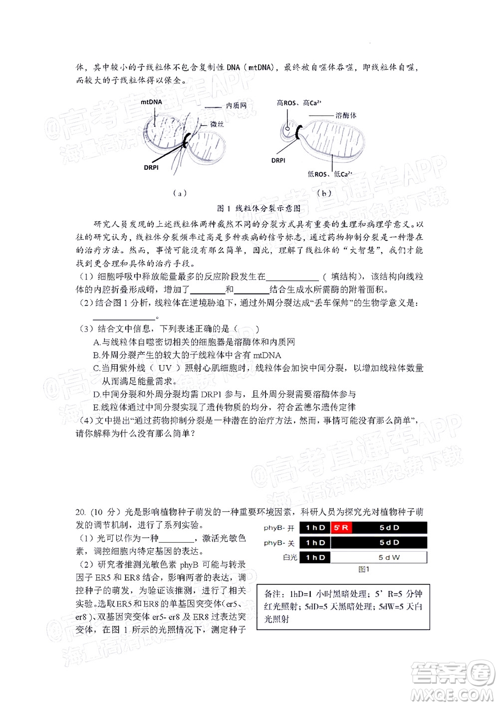 北京房山區(qū)2022年高考二模考試試卷高三生物學試題及答案