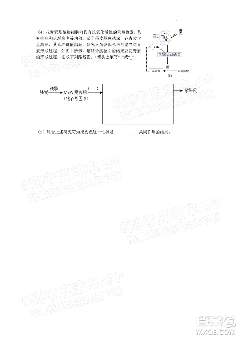 北京房山區(qū)2022年高考二?？荚囋嚲砀呷飳W試題及答案