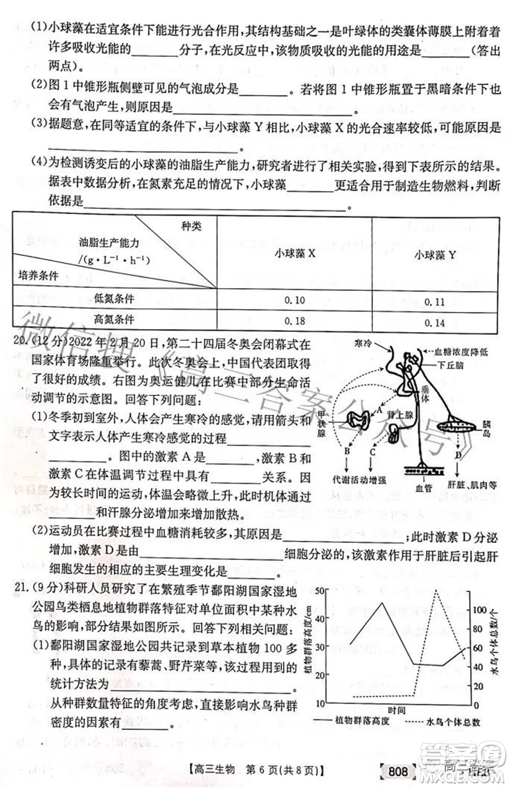 2022湖南金太陽五月聯(lián)考高三生物試題及答案