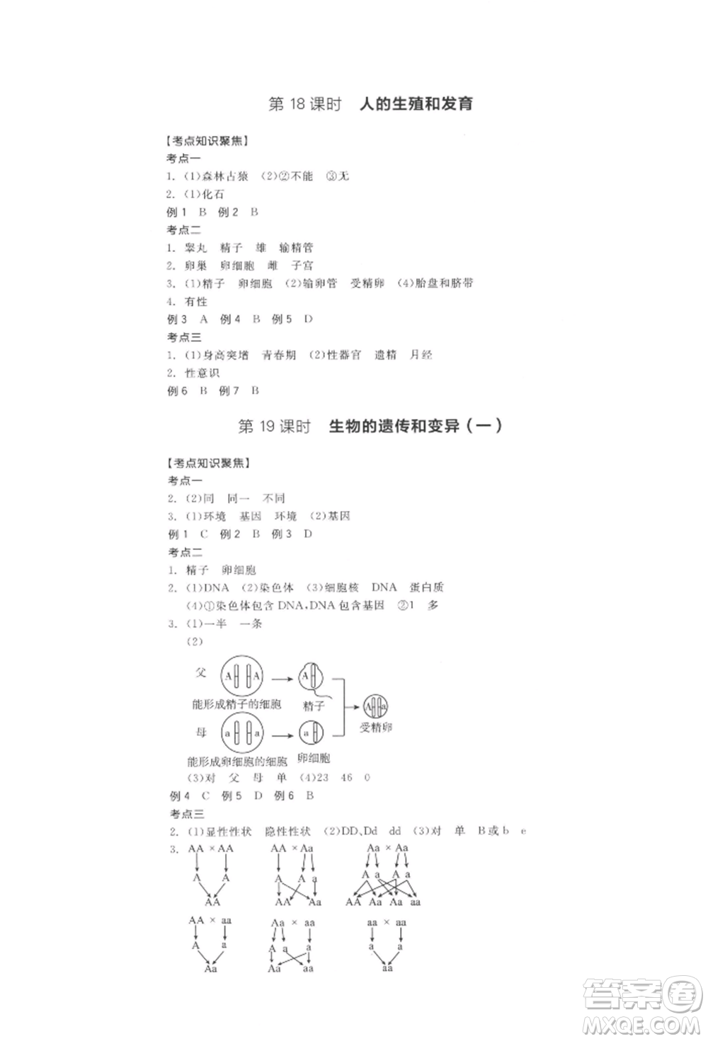 陽(yáng)光出版社2022全品中考復(fù)習(xí)方案聽(tīng)課手冊(cè)生物學(xué)通用版江西專(zhuān)版參考答案