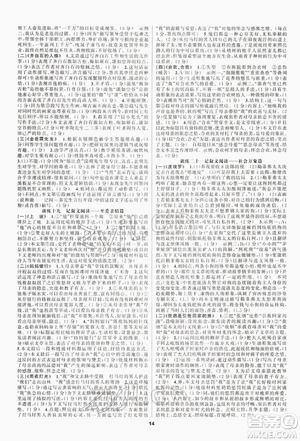 陽光出版社2022全品中考復習方案專題精講語文人教版江西專版參考答案