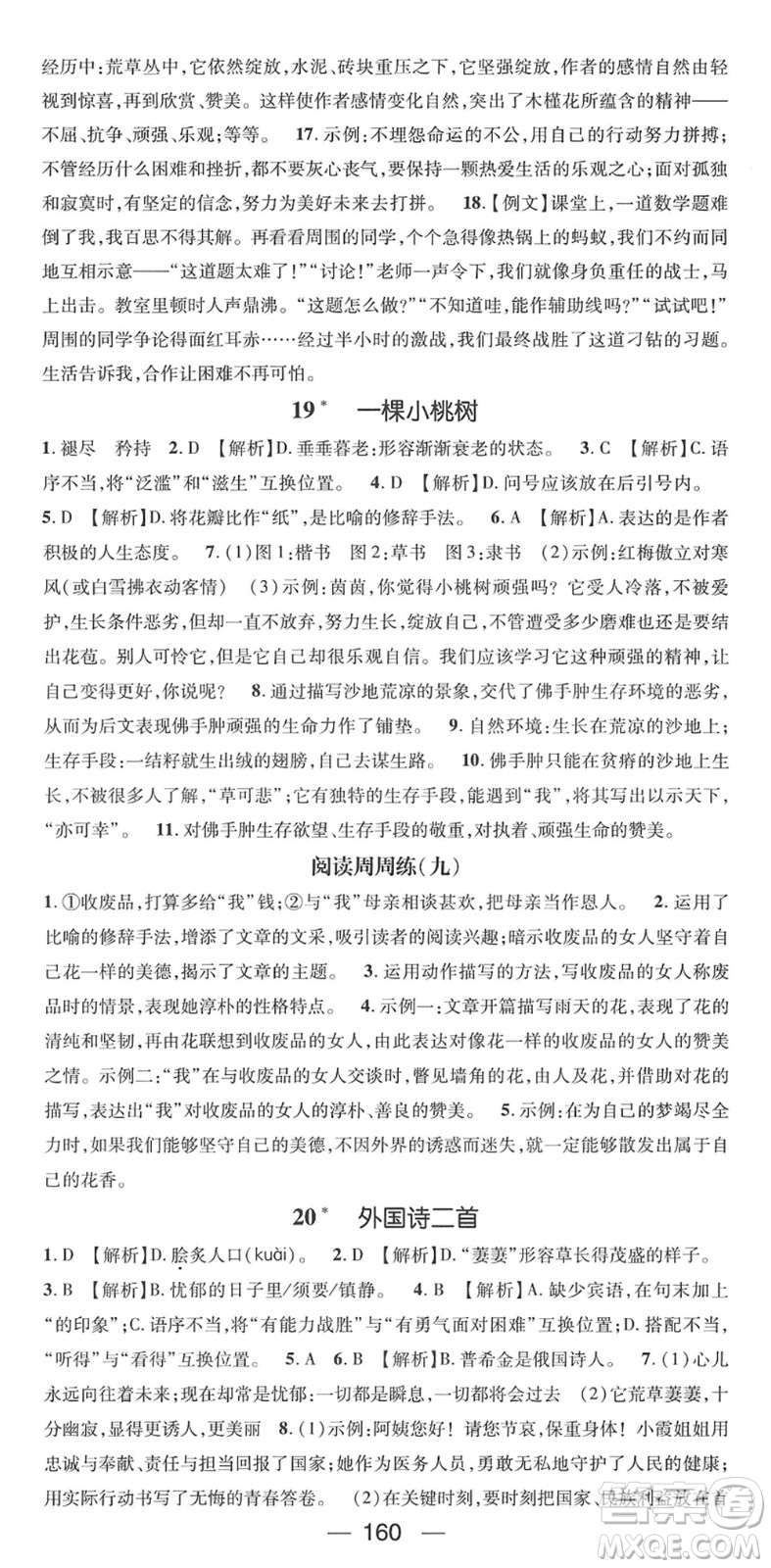 陽(yáng)光出版社2022精英新課堂七年級(jí)語(yǔ)文下冊(cè)RJ人教版答案