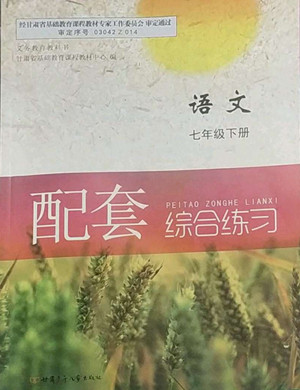 甘肅少年兒童出版社2022配套綜合練習(xí)語文七年級下冊人教版答案