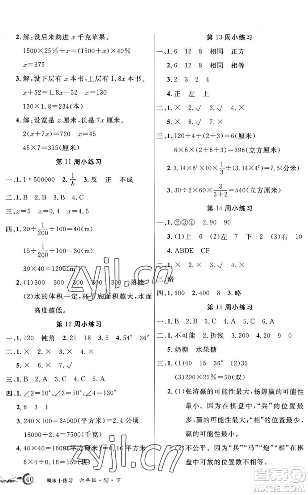 北方婦女兒童出版社2022優(yōu)品小課堂作業(yè)六年級數(shù)學下冊SJ蘇教版答案