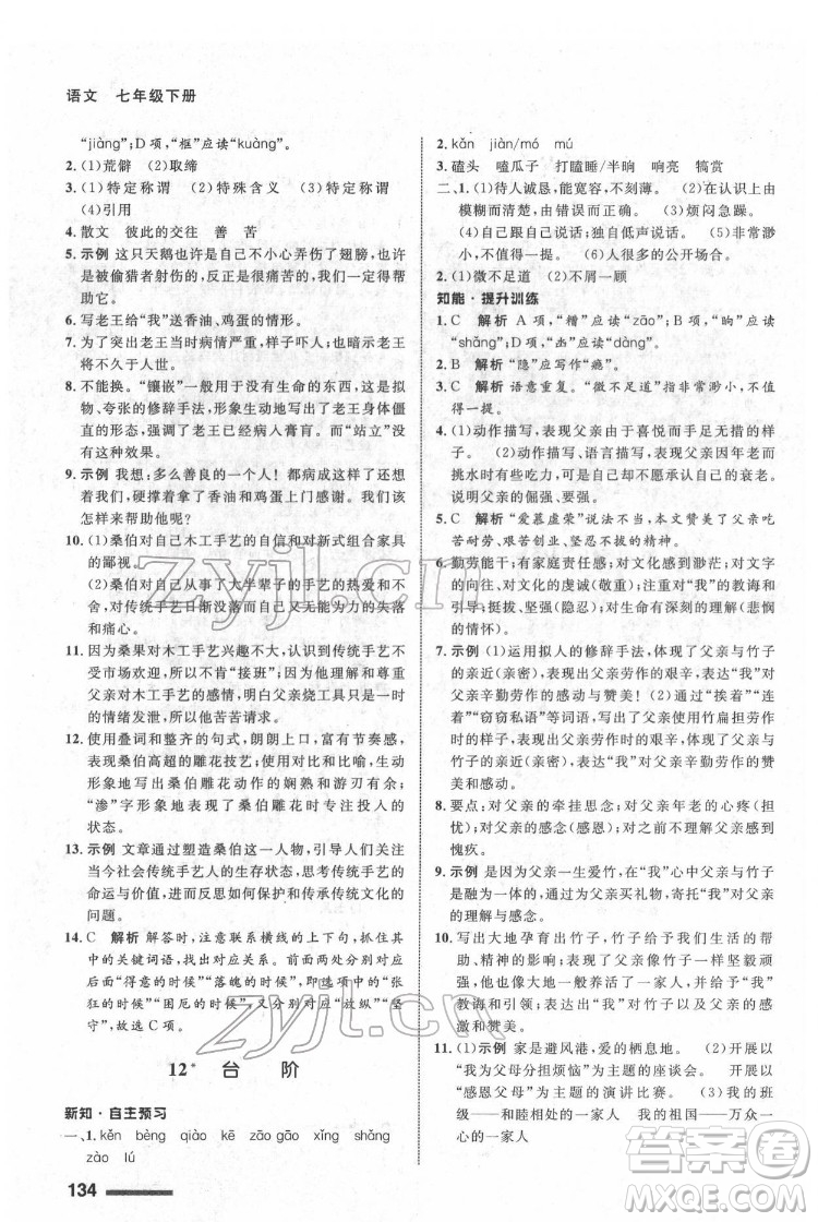 甘肅少年兒童出版社2022配套綜合練習(xí)語文七年級下冊人教版答案