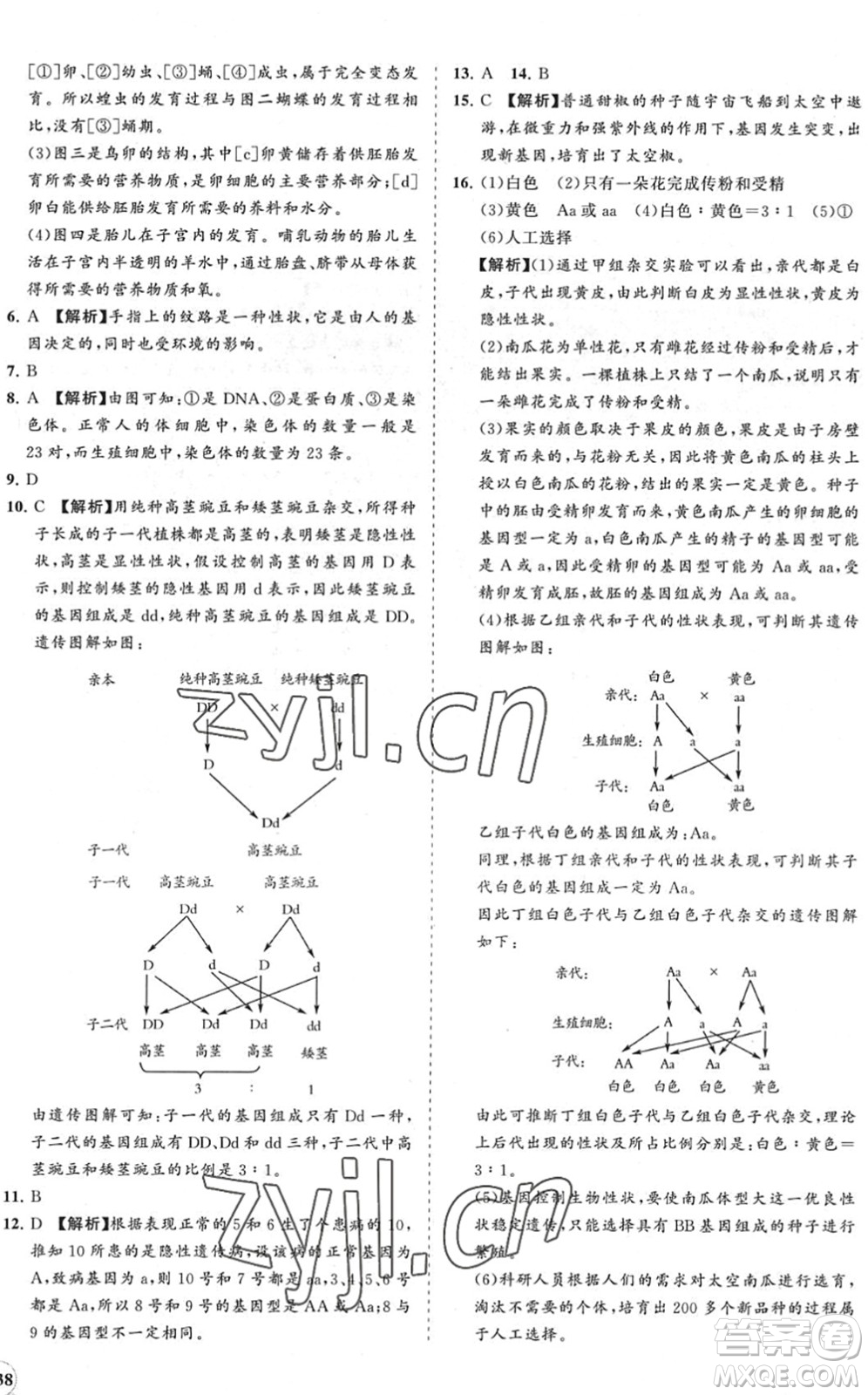 海南出版社2022知行課堂新課程同步練習(xí)冊(cè)八年級(jí)生物下冊(cè)人教版答案