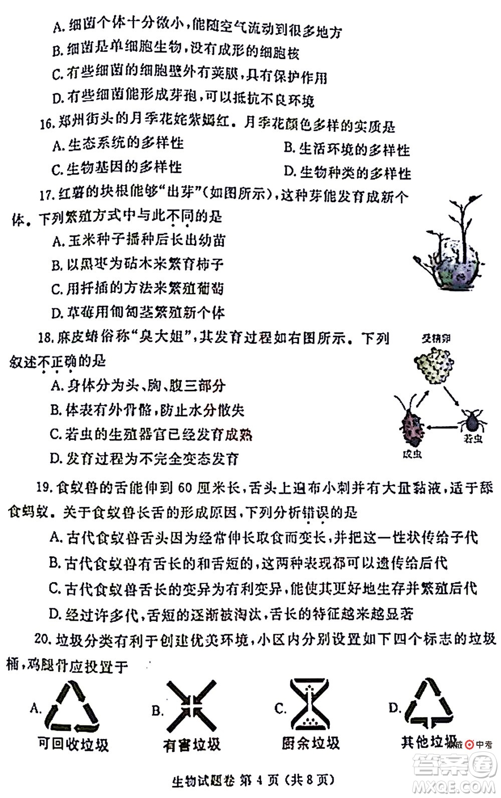 2022年鄭州市中招適應(yīng)性測(cè)試生物試卷及答案