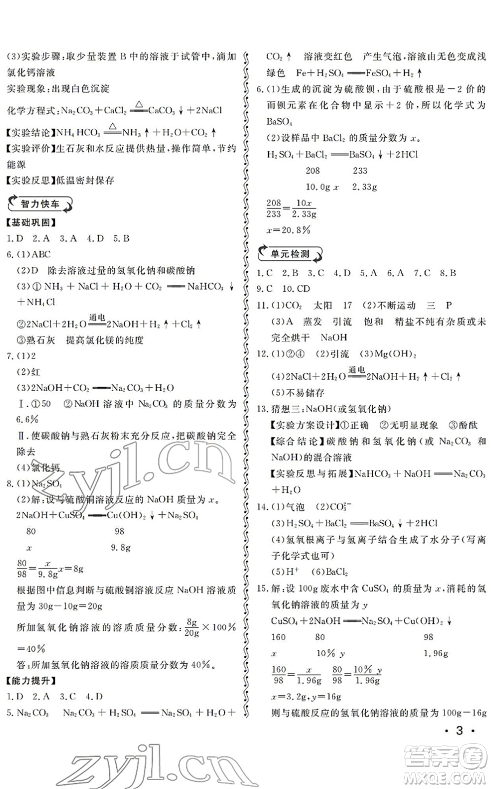 山東人民出版社2022初中卷行知天下九年級化學下冊人教版答案