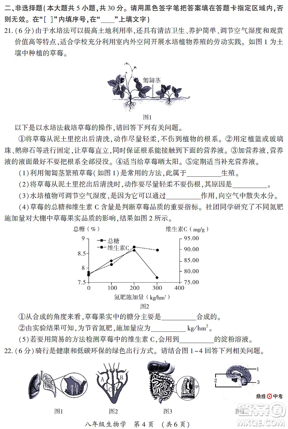 河南開封2022年中招第二次模擬考試生物學(xué)試題及答案