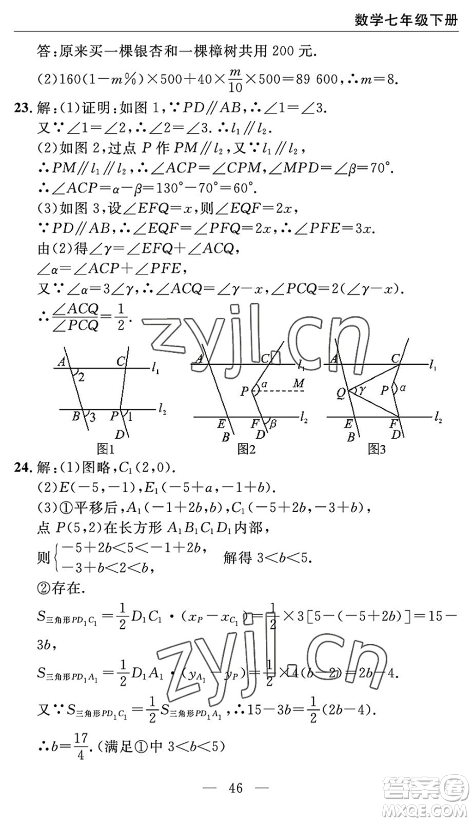 長(zhǎng)江少年兒童出版社2022智慧課堂自主評(píng)價(jià)七年級(jí)數(shù)學(xué)下冊(cè)通用版宜昌專版答案