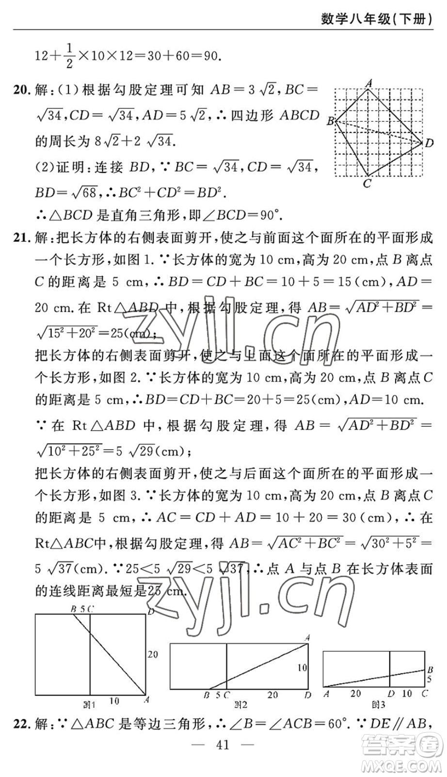 長(zhǎng)江少年兒童出版社2022智慧課堂自主評(píng)價(jià)八年級(jí)數(shù)學(xué)下冊(cè)通用版答案