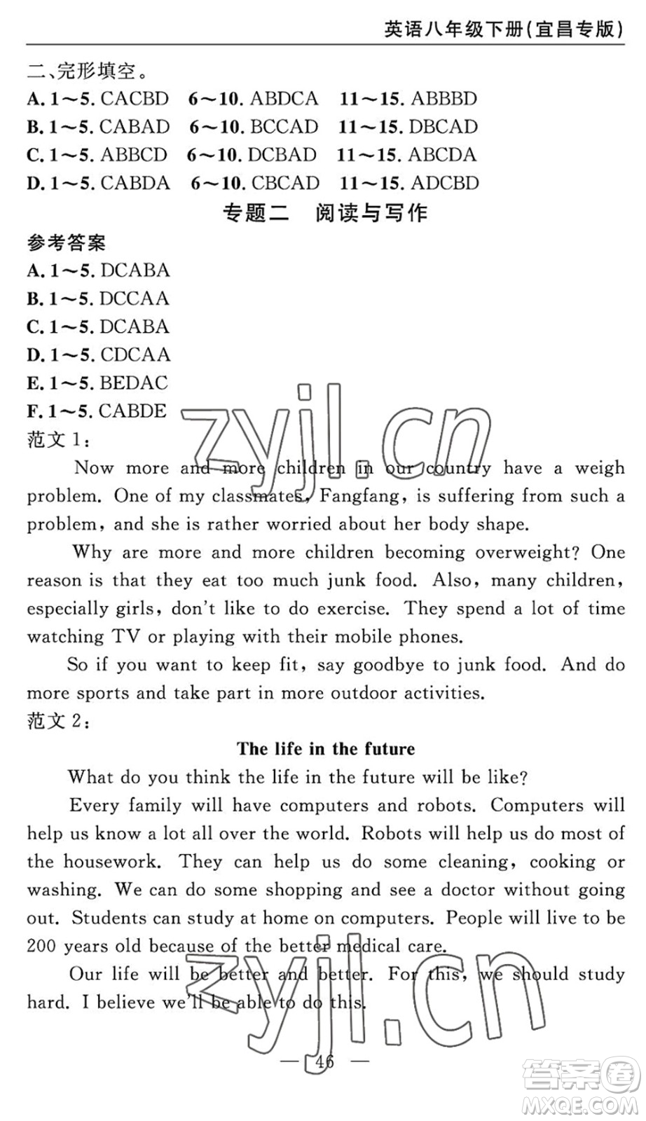 長江少年兒童出版社2022智慧課堂自主評(píng)價(jià)八年級(jí)英語下冊(cè)通用版宜昌專版答案