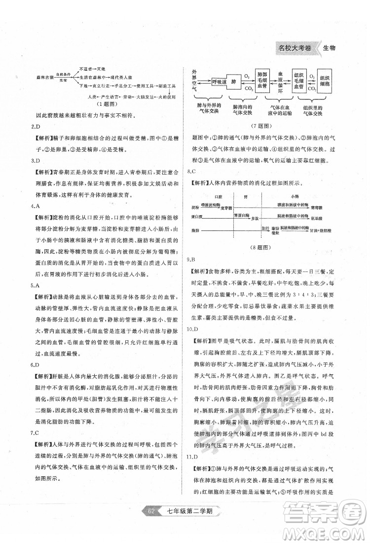 延邊大學(xué)出版社2022名校大考卷生物七年級(jí)下冊(cè)人教版大連專(zhuān)版答案