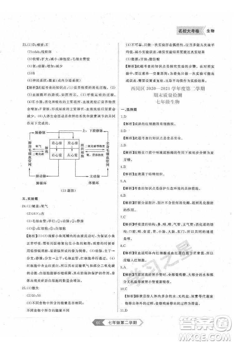 延邊大學(xué)出版社2022名校大考卷生物七年級(jí)下冊(cè)人教版大連專(zhuān)版答案