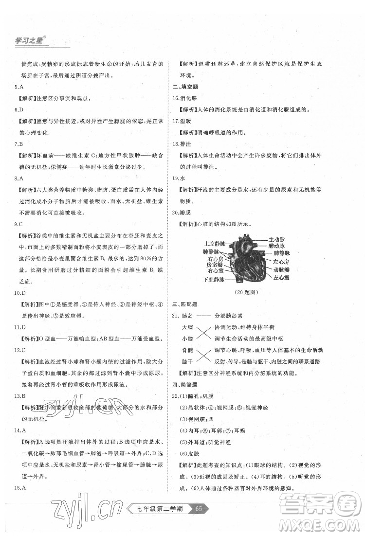 延邊大學(xué)出版社2022名校大考卷生物七年級(jí)下冊(cè)人教版大連專(zhuān)版答案