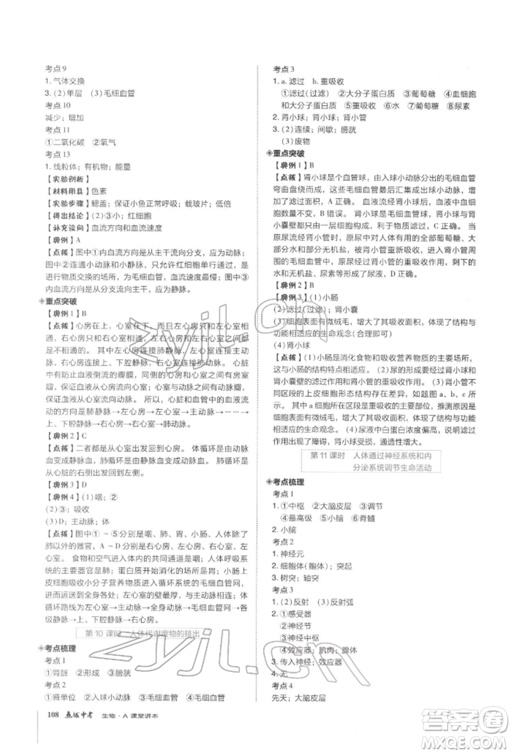 安徽教育出版社2022榮德基點撥中考生物通用版福建專版參考答案