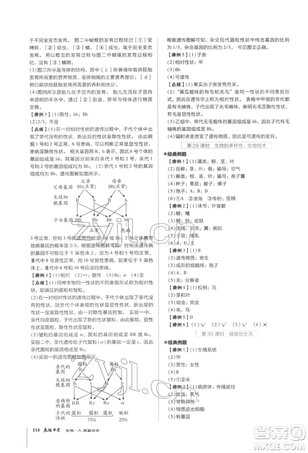 安徽教育出版社2022榮德基點撥中考生物通用版福建專版參考答案