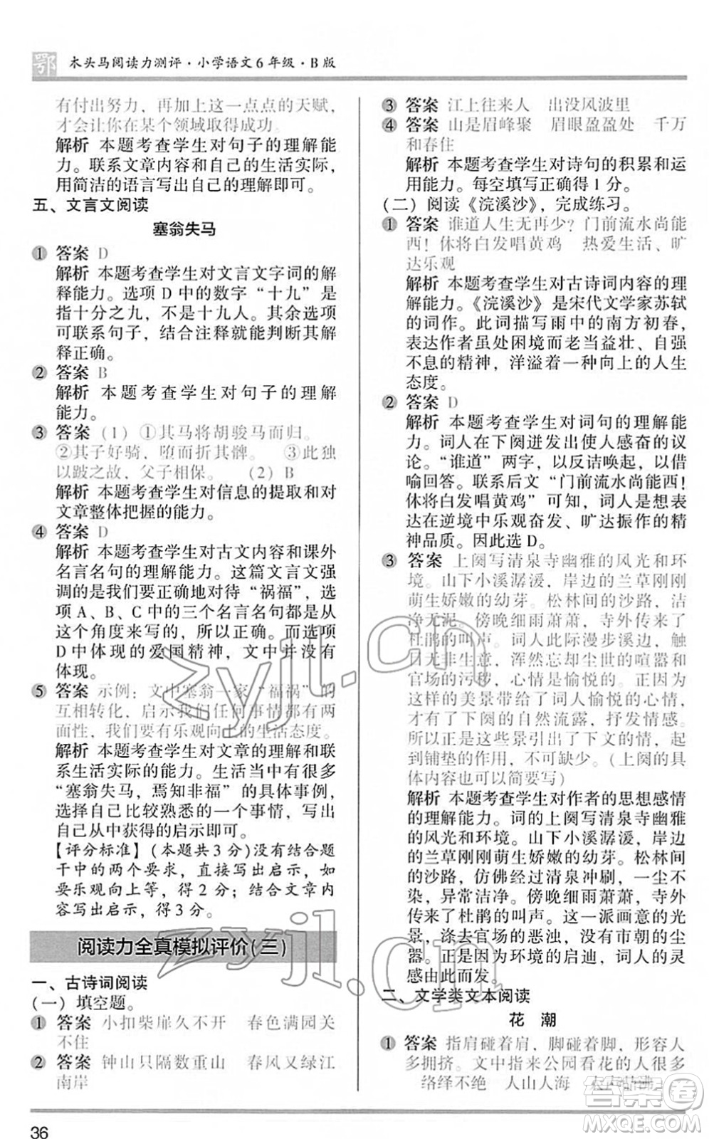 江蘇鳳凰文藝出版社2022木頭馬閱讀力測評六年級語文下冊B版武漢專版答案