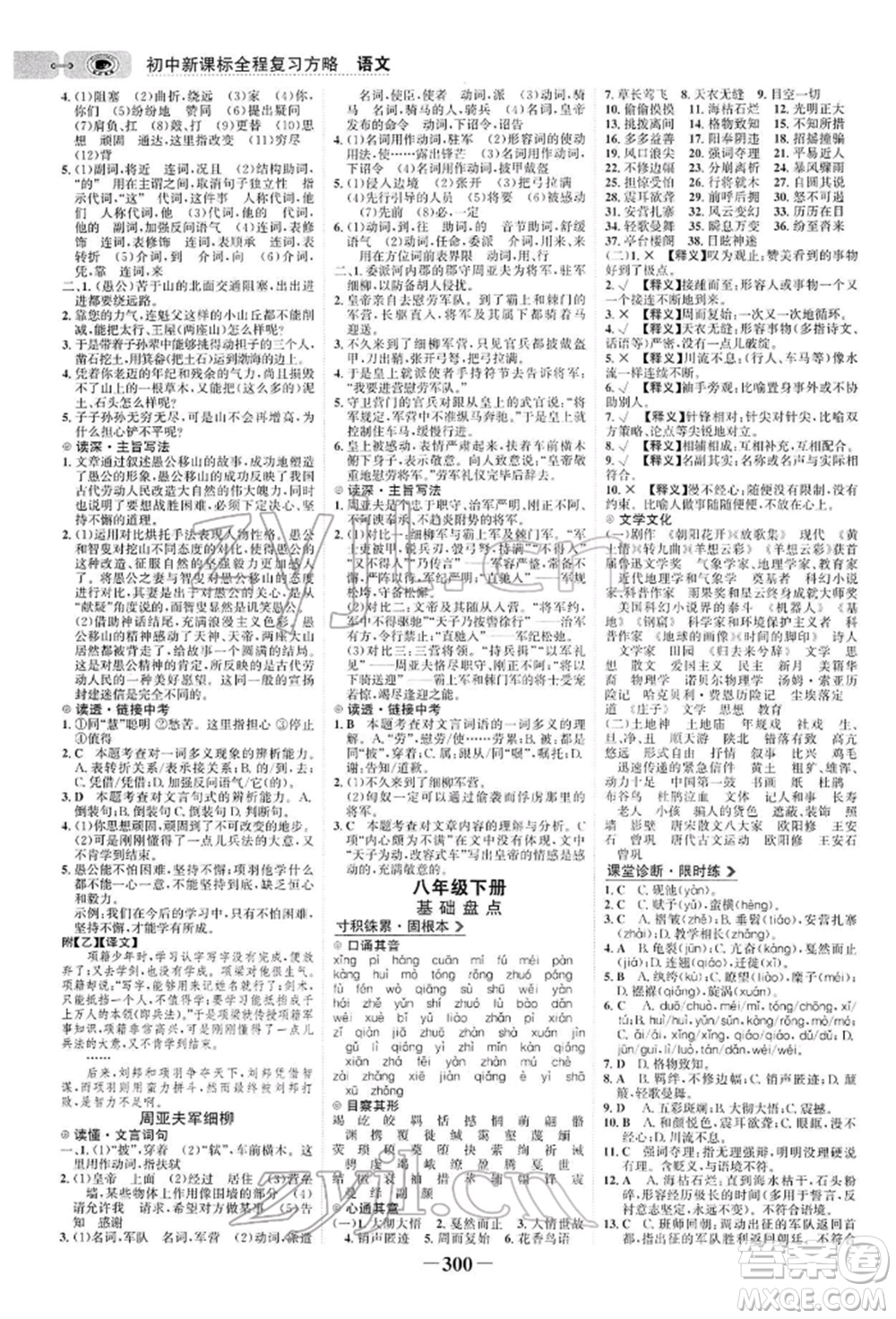 未來出版社2022世紀金榜初中全程復習方略語文人教版參考答案