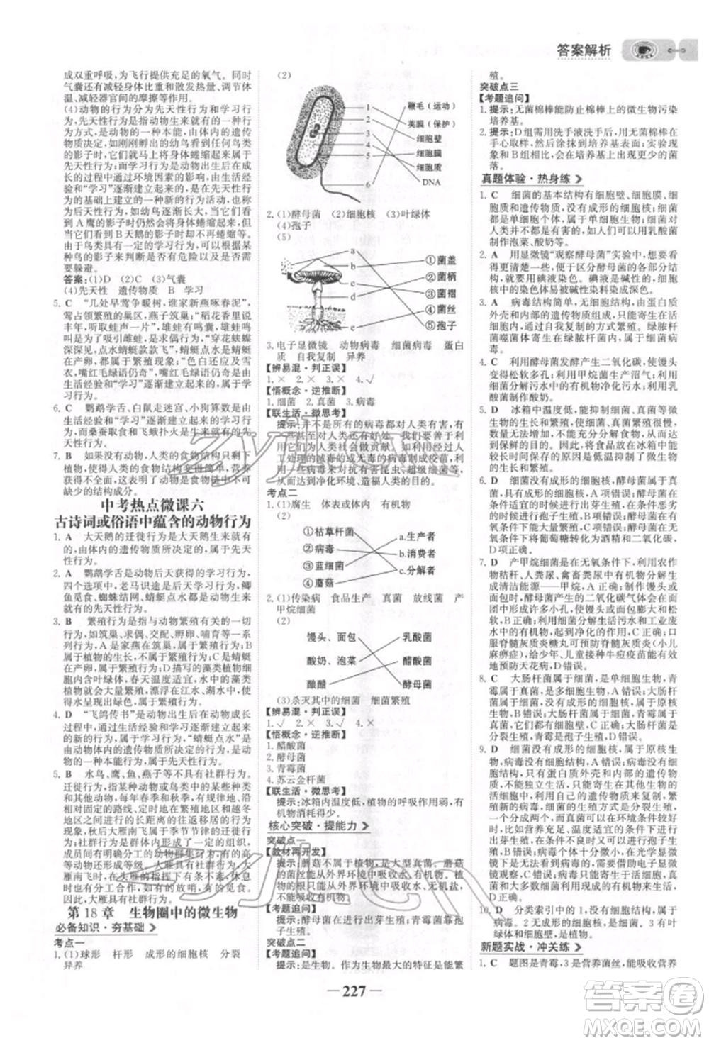未來出版社2022世紀(jì)金榜初中全程復(fù)習(xí)方略生物北師大版參考答案