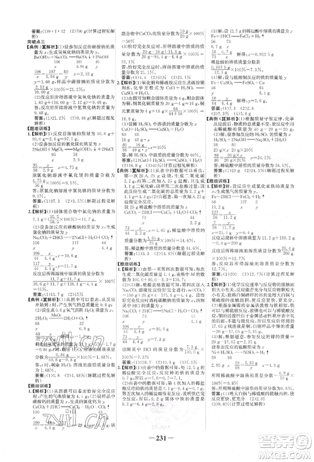 未來(lái)出版社2022世紀(jì)金榜初中全程復(fù)習(xí)方略化學(xué)魯教版參考答案