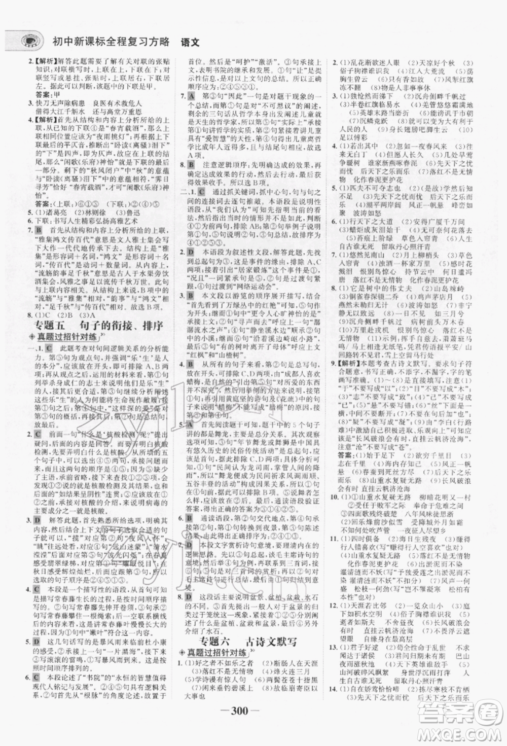未來出版社2022世紀(jì)金榜初中全程復(fù)習(xí)方略語文人教版青海專版參考答案