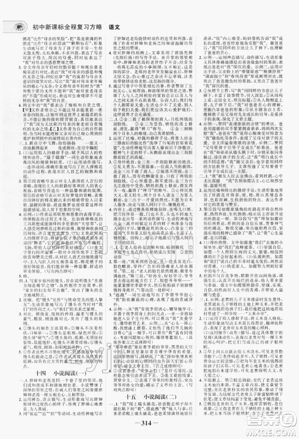 未來出版社2022世紀(jì)金榜初中全程復(fù)習(xí)方略語文人教版青海專版參考答案