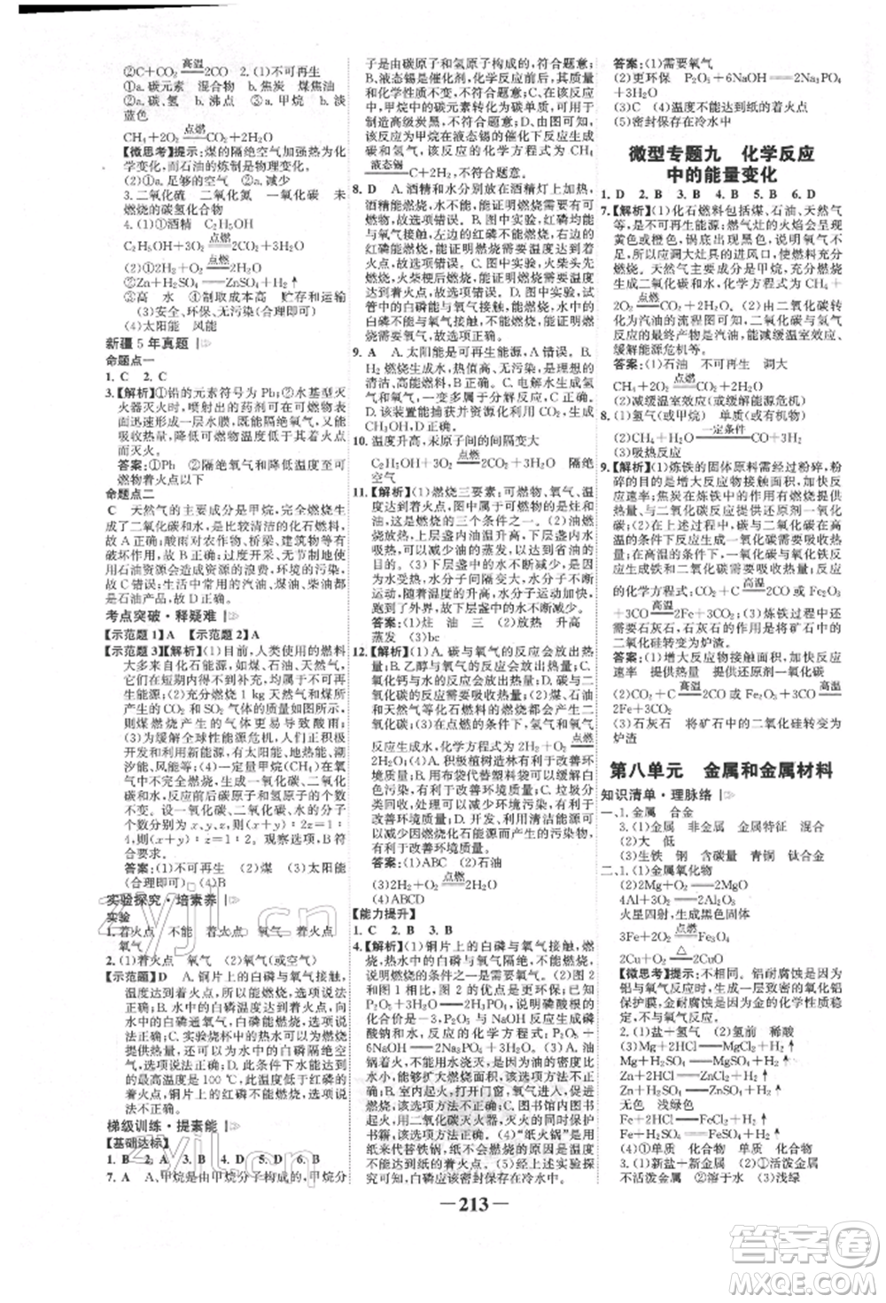 河北少年兒童出版社2022世紀(jì)金榜初中全程復(fù)習(xí)方略化學(xué)人教版新疆專版參考答案