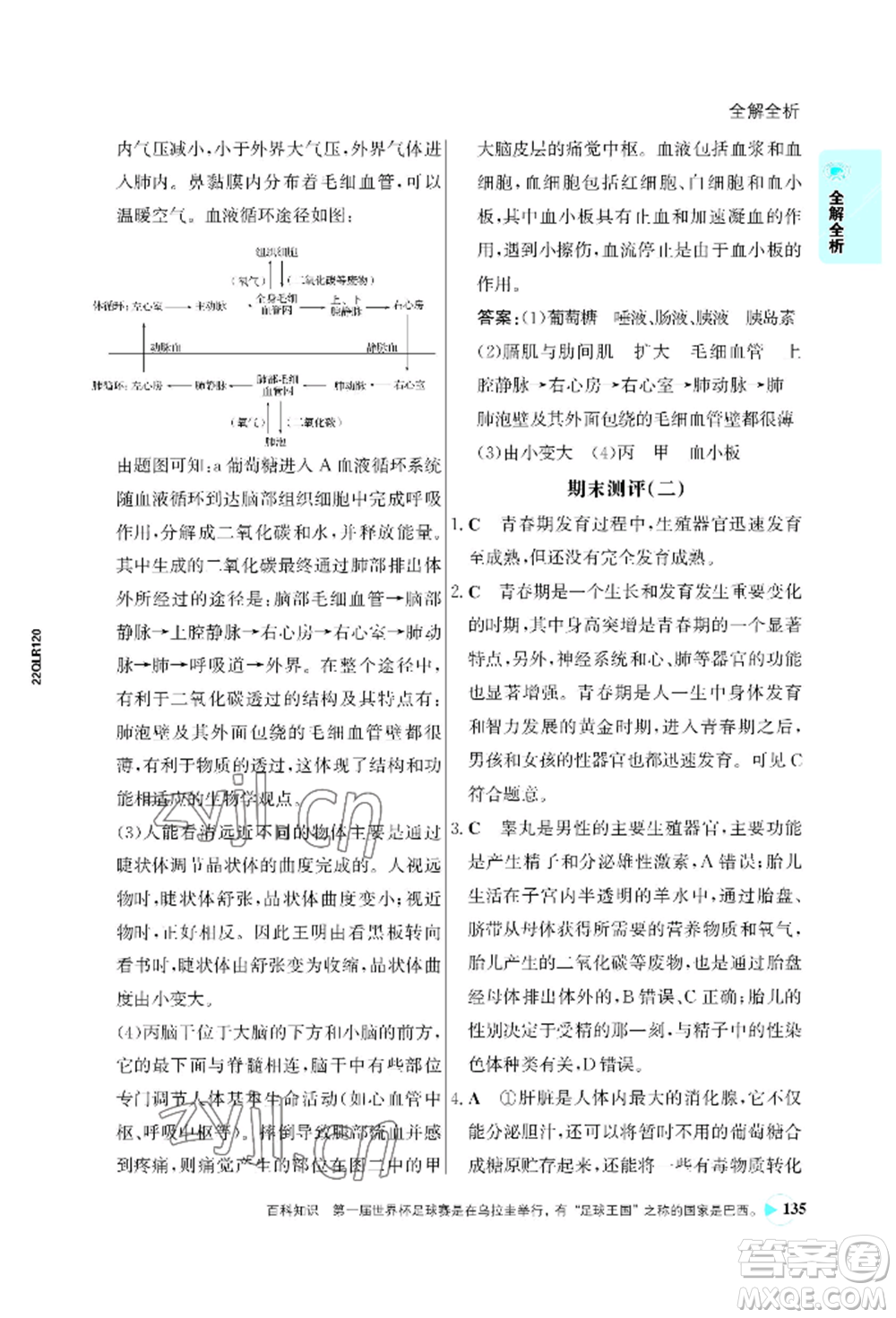 浙江科學(xué)技術(shù)出版社2022世紀(jì)金榜活學(xué)巧練七年級(jí)下冊(cè)生物人教版參考答案