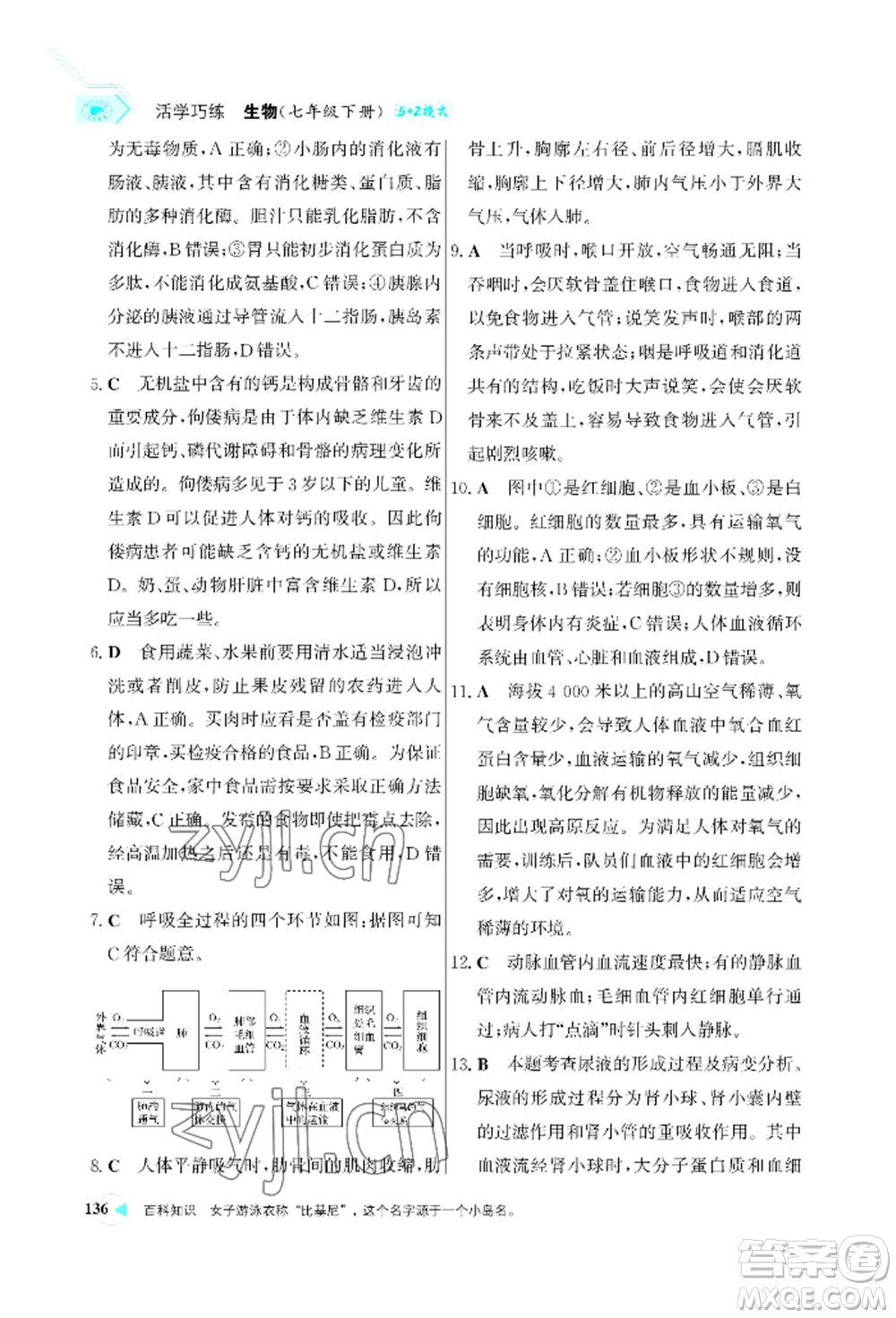 浙江科學(xué)技術(shù)出版社2022世紀(jì)金榜活學(xué)巧練七年級(jí)下冊(cè)生物人教版參考答案