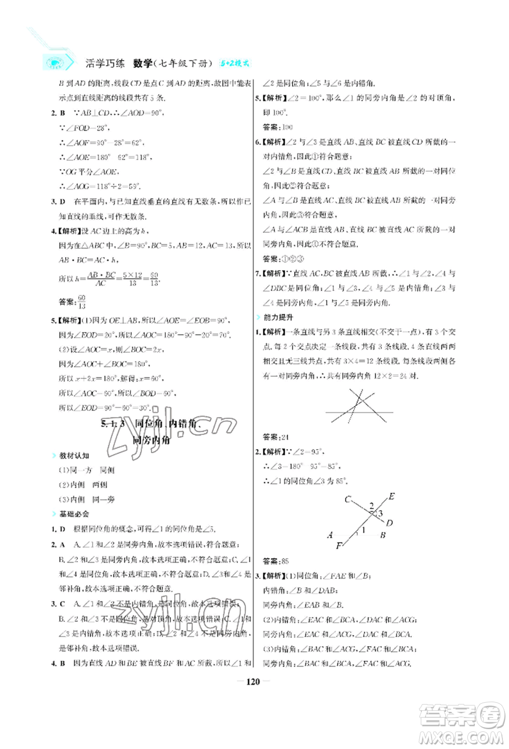 浙江科學(xué)技術(shù)出版社2022世紀(jì)金榜活學(xué)巧練七年級(jí)下冊數(shù)學(xué)人教版參考答案