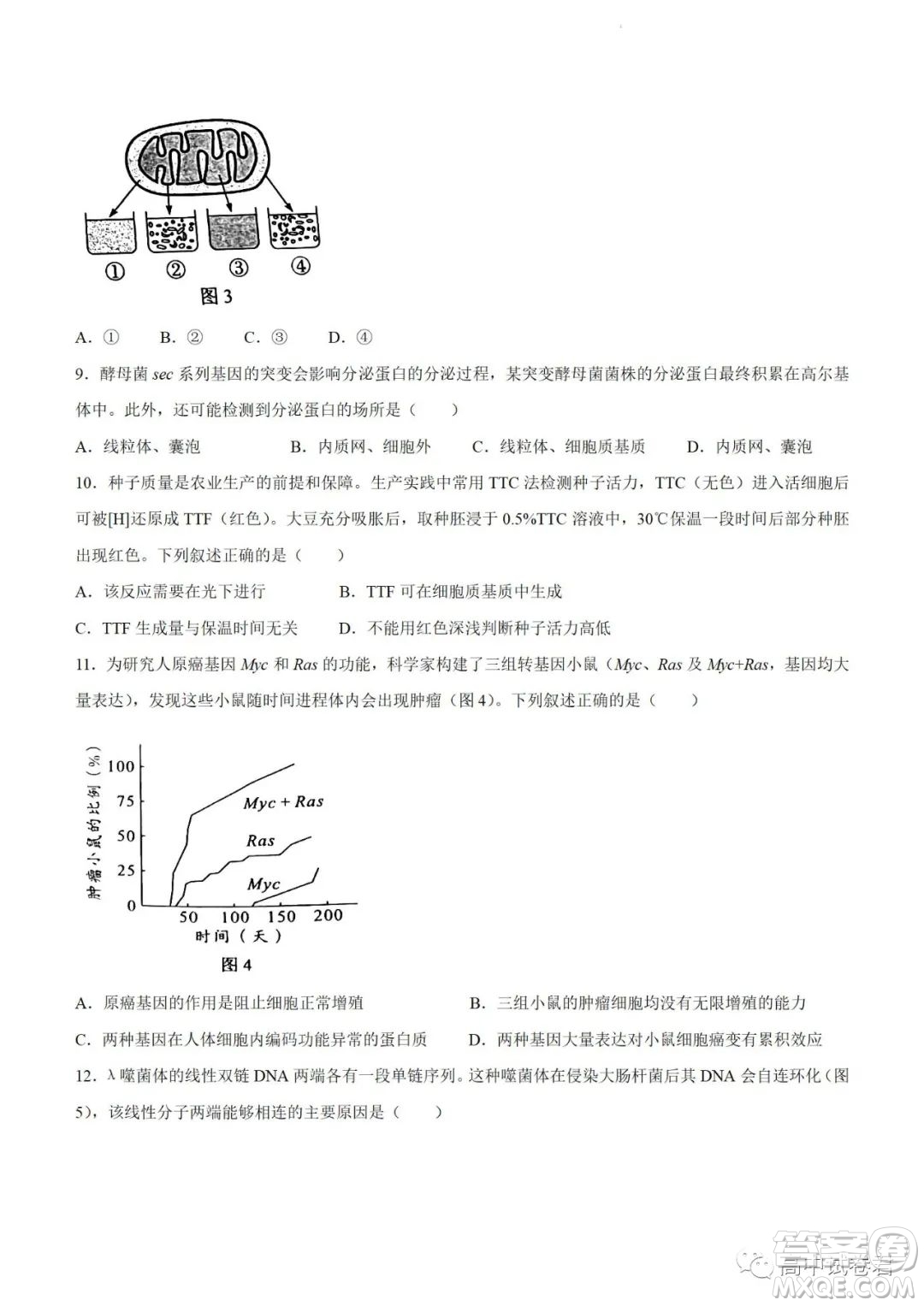 2022高考真題新高考廣東卷生物試題及答案解析