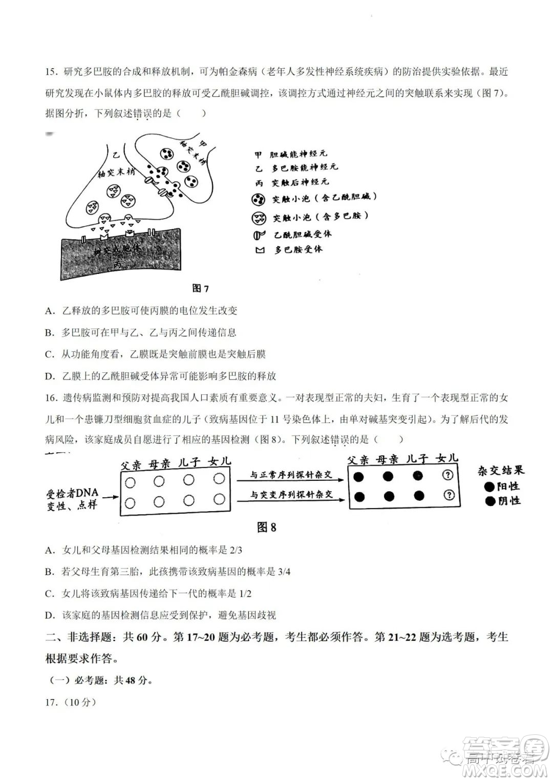 2022高考真題新高考廣東卷生物試題及答案解析