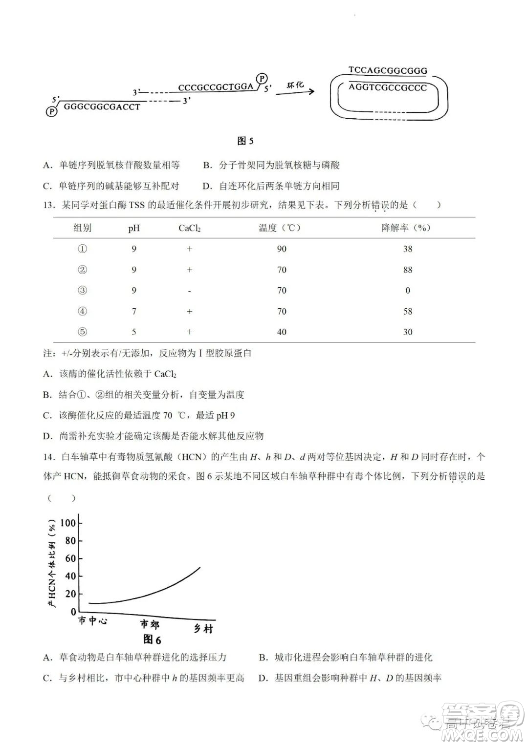 2022高考真題新高考廣東卷生物試題及答案解析